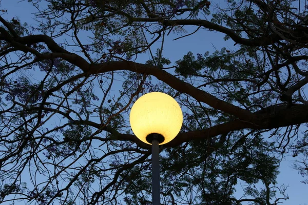 Poste Uma Lâmpada Elétrica Trava Brilha Noite — Fotografia de Stock