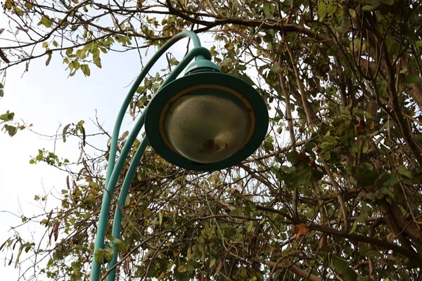 Столбе Висит Светит Ночью Электрическая Лампа — стоковое фото