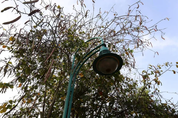 Poste Una Lámpara Eléctrica Cuelga Brilla Por Noche — Foto de Stock