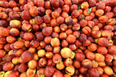 meyve ve çilek Akko kentinde piyasada satılan 