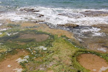 İsrail 'in kuzeyindeki Akdeniz kıyısında. 
