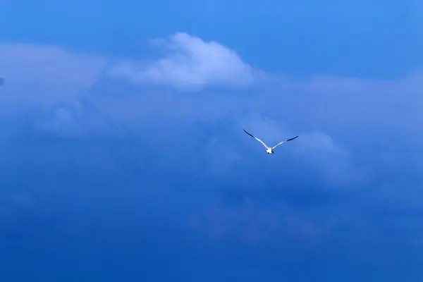 Mittelmeerküste Norden Islands — Stockfoto