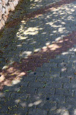 Kaldırım tarafındaki veya sokak kenarlarında bulunan bir yaya yolu olduğunu. 