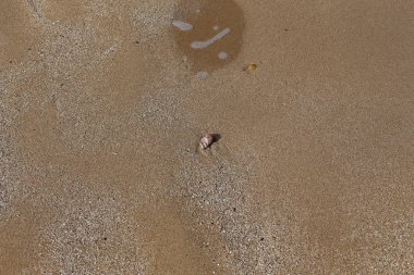 İsrail 'in kuzeyindeki Akdeniz kıyısında. 