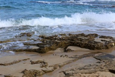 İsrail 'in kuzeyindeki Akdeniz kıyısında. 