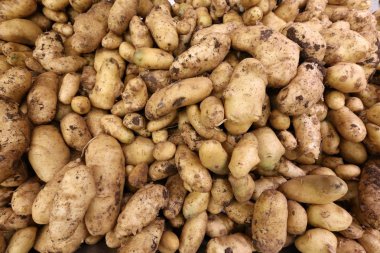 IFF eski kasaba İsrail ile piyasada bulunan sebze satılıyor 