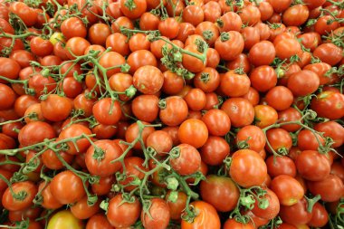 IFF eski kasaba İsrail ile piyasada bulunan sebze satılıyor 