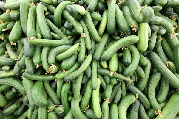 Markt Met Oude Stad Van Akko Israël Worden Groenten Verkocht — Stockfoto