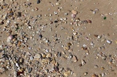 Kuzey İsrail ' Akdeniz'in kıyısında taş yalan 