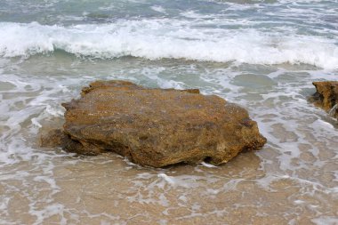 Kuzey İsrail ' Akdeniz'in kıyısında taş yalan 