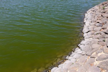 Kuzey İsrail ' Akdeniz'in kıyısında taş yalan 