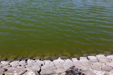 Kuzey İsrail ' Akdeniz'in kıyısında taş yalan 