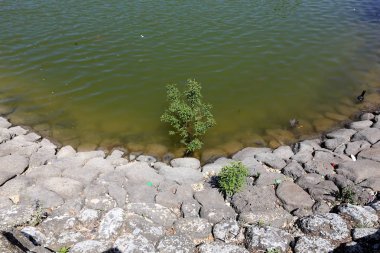 Kuzey İsrail ' Akdeniz'in kıyısında taş yalan 
