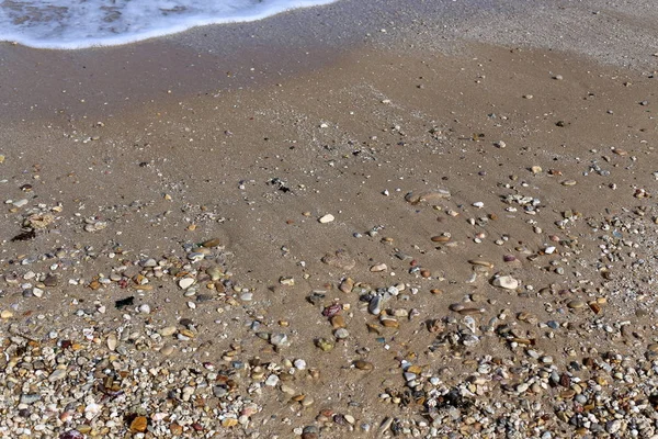 Kuzey İsrail ' Akdeniz'in kıyısında taş yalan 