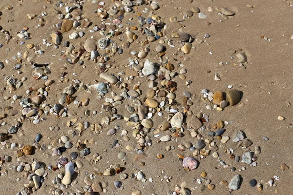 Kuzey İsrail ' Akdeniz'in kıyısında taş yalan 