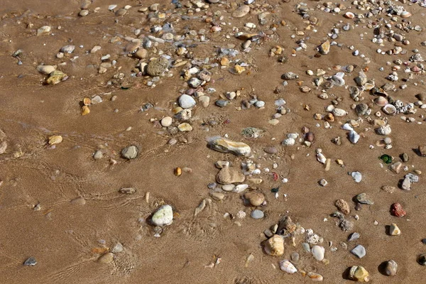 Kuzey İsrail ' Akdeniz'in kıyısında taş yalan 