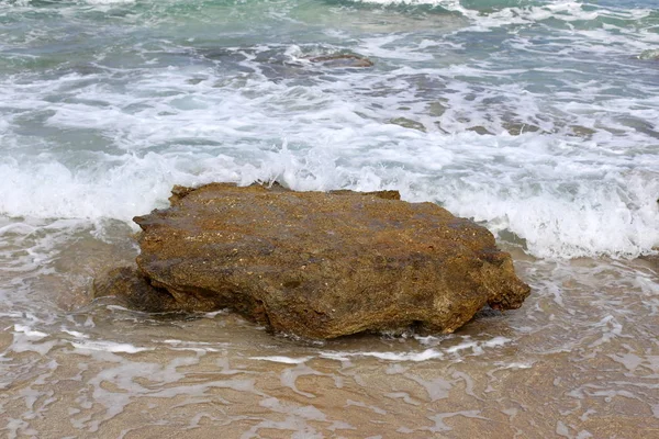 Kuzey İsrail ' Akdeniz'in kıyısında taş yalan 