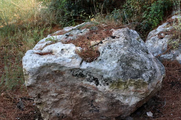 Pedras Encontram Nas Margens Mar Mediterrâneo Norte Israel — Fotografia de Stock