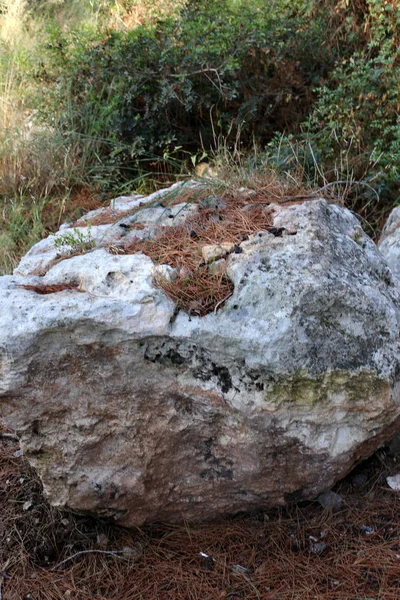 以色列北部的地中海沿岸有石块 — 图库照片