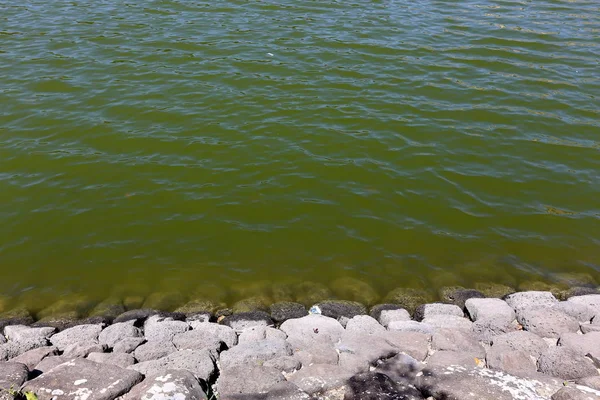 Kuzey İsrail ' Akdeniz'in kıyısında taş yalan 