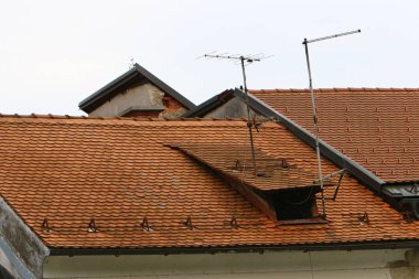 Ljubljana, Slovenya başkenti şehir kiremitli çatıları