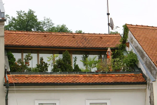 Tiled Roofs City Ljubljana Capital Slovenia — Stock Photo, Image