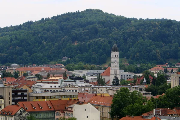 Tegeltak Staden Ljubljana Huvudstad Slovenien — Stockfoto