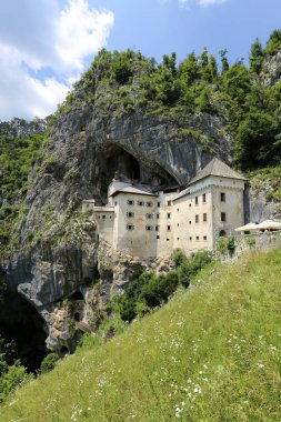 Uçurum uçurum Slovenya dağlarda yukarıda kalede Predjam 