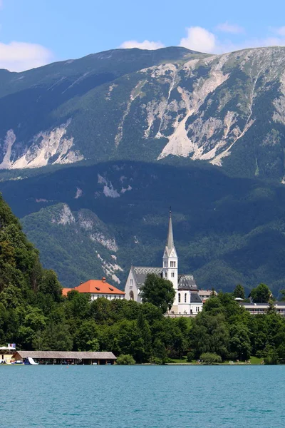 Julské Alpy Jsou Pohoří Výběžek Alp Oblasti Slovinské Festival — Stock fotografie