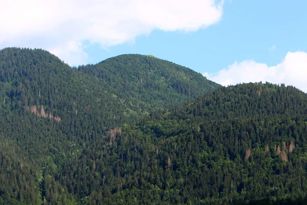 Julische Alpen Zijn Een Bergketen Een Uitloper Van Alpen Gelegen — Stockfoto