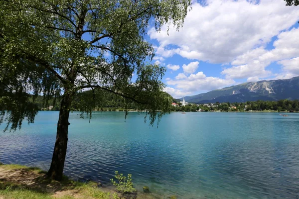 Jezero Bled Leží Úpatí Alp Triglavském Národním Parku Slovinsku — Stock fotografie