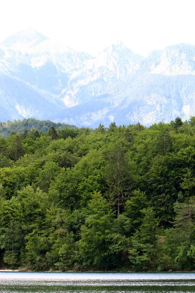 スロベニアのトリグラフ国立公園にアルプスの麓にあるブレッド湖 — ストック写真