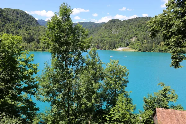 Lake Bled Alps Slovenya Triglav Ulusal Parkı'nın eteklerinde yer alır 
