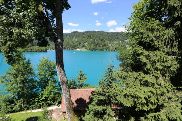 Lake Bled Alps Slovenya Triglav Ulusal Parkı'nın eteklerinde yer alır 