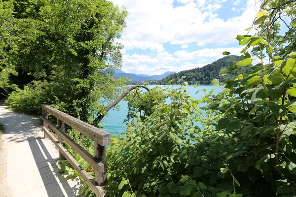 Triglav Nemzeti Parkban Szlovéniában Alpok Lábánál Fekszik Bledi Tótól — Stock Fotó