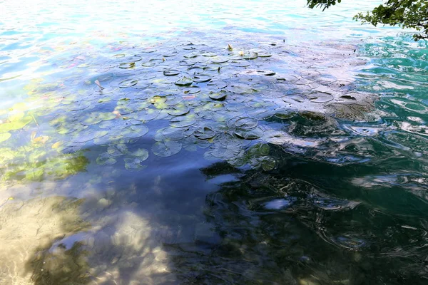 Lago Bled Encuentra Los Pies Los Alpes Parque Nacional Triglav — Foto de Stock