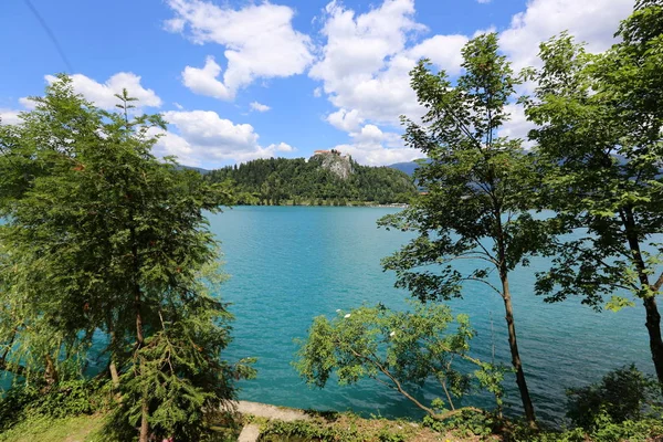 Lake Bled Alps Slovenya Triglav Ulusal Parkı'nın eteklerinde yer alır 