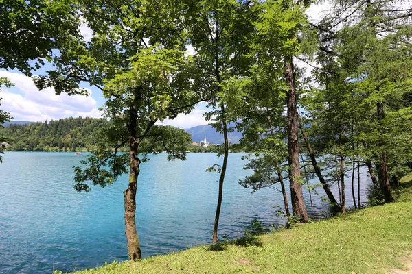 Lac Bled Trouve Pied Des Alpes Dans Parc National Triglav — Photo