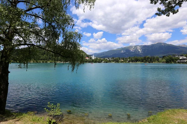 Triglav Nemzeti Parkban Szlovéniában Alpok Lábánál Fekszik Bledi Tótól — Stock Fotó