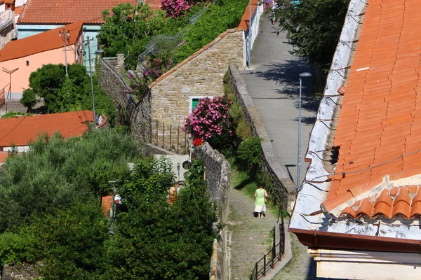 Piran Slovenya Adriyatik Kıyısındaki Istria Yarımadası Üzerinde Bir Şehirdir — Stok fotoğraf