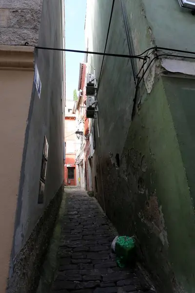 Piran Uma Cidade Eslovênia Península Ístria Costa Adriático — Fotografia de Stock