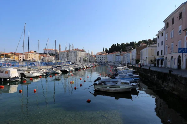 Piran Una Ciudad Eslovenia Península Istria Costa Adriática —  Fotos de Stock