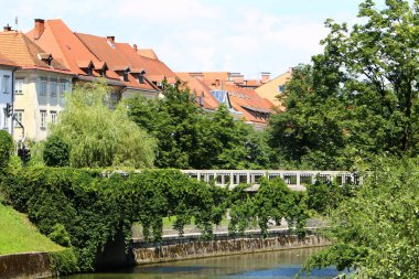Merkezi Ljubljana, Slovenya başkenti Ljubljanica nehir akar 