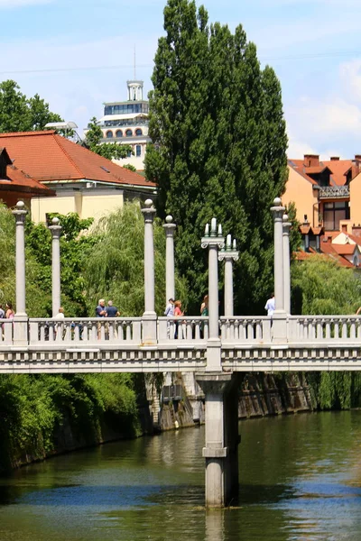 Rio Liubliana Atravessa Centro Liubliana Capital Eslovênia — Fotografia de Stock