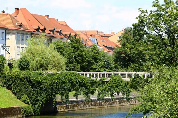 Merkezi Ljubljana, Slovenya başkenti Ljubljanica nehir akar 
