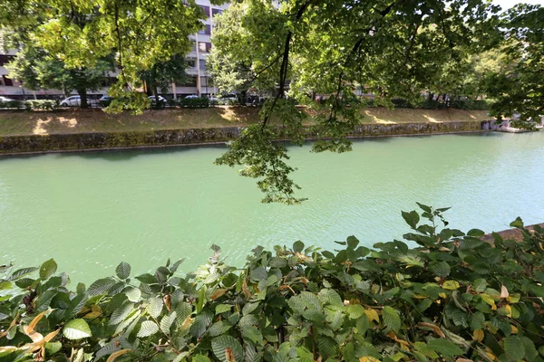 Merkezi Ljubljana, Slovenya başkenti Ljubljanica nehir akar 