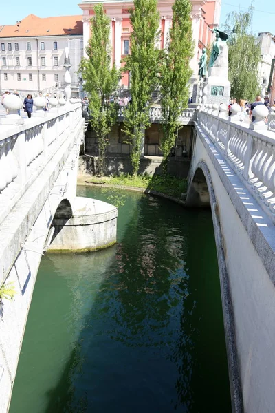 Río Liublianica Fluye Través Del Centro Liubliana Capital Eslovenia —  Fotos de Stock