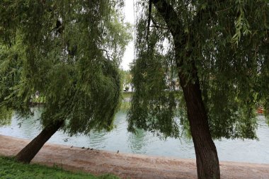 Merkezi Ljubljana, Slovenya başkenti Ljubljanica nehir akar 