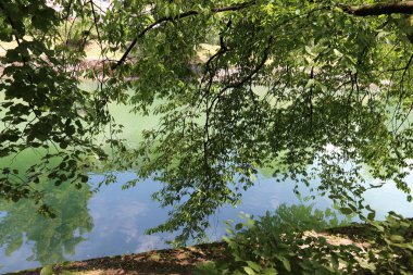 Merkezi Ljubljana, Slovenya başkenti Ljubljanica nehir akar 