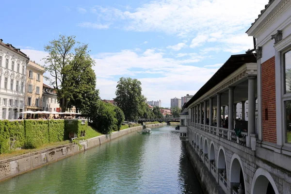 Merkezi Ljubljana, Slovenya başkenti Ljubljanica nehir akar 